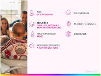 Andador Infantil Buba Baby Dino de Empurrar - 2