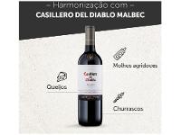 Vinho Tinto Seco Concha y Toro Casillero del  - 6