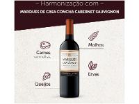 Vinho Tinto Seco Concha y Toro Marques de Casa Concha Chile 750ml - 7