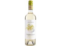 Vinho Branco Seco Santa Carolina Reserva Sauvignon Blanc Chile 750ml - 1