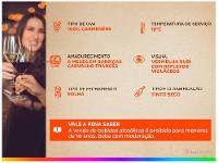 Vinho Tinto Seco Santa Carolina Reserva Carmenere Chile 750ml - 12