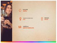 Vinho Tinto Seco Santa Carolina Reserva Carmenere Chile 750ml