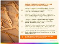 Guarda-roupa Casal com Espelho 6 Portas 6 Gavetas Caemmun Apollo - 3