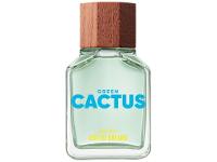 Perfume Benetton Green Cactus  Masculino