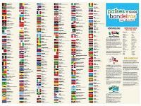 Jogo Países e suas Bandeiras Tabuleiro 