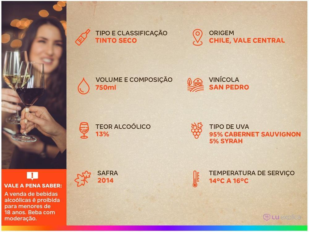 Vinho Tinto Seco Gato Negro Cabernet Sauvignon Chile - 11