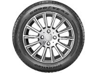 Pneu Aro 15” 195/65R15 Goodyear 91H Performance