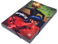 Pasta com Aba de Plástico 23,2x33,2cm - 2