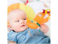 Tapete de Atividades Tiny Love Into The Forest - 2