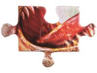 Quebra-cabeça 200 Peças Puzzle Batalha dos