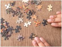 Quebra-cabeça 1000 Peças Castelo de Gernstein - 5