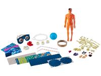 Jogo Anatomia Grow - 2