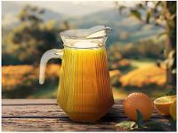 Jarra de Vidro 1,4L Transparente Hauskraft Risk - 2