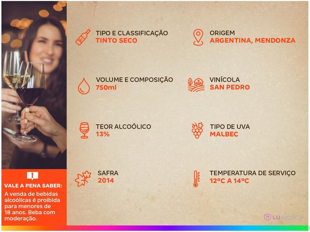 Vinho Tinto Seco Gato Negro Malbec - 11