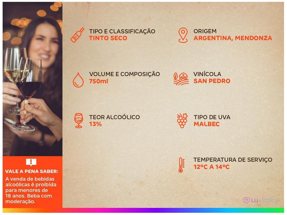 Vinho Tinto Seco Gato Negro Malbec - 3