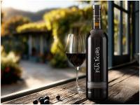 Vinho Tinto Seco Pata Negra Espanha 750ml - 2