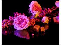 Perfume Banderas Her Secret Her Secret Feminino Eau de Toilette 50ml - 2