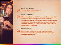 Vinho Tinto Seco Viña Cobos