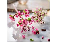 LEGO Iconic Flores de Cerejeira 40725 - 6