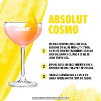 Vodka Absolut Citron 750ml - 7