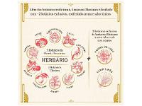 Gin Amázzoni Maniuara Cítrico 750ml - 6