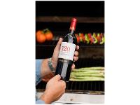 Vinho Tinto Seco 120 Reserva Especial Chile 750ml - 2