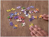 Quebra-cabeça 500 Peças Divertidamente 2 - 2