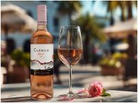 Vinho Rose Seco Ventisquero Clássico Clássico 750ml - 3