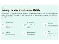 Zinco Nutrify sem Sabor Natural 60 Cápsulas  - 3