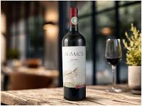 Vinho Tinto Seco Alamos Malbec Argentina 750ml - 2