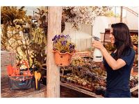 Kit Jardinagem Tramontina 78124805 13 Peças - 2