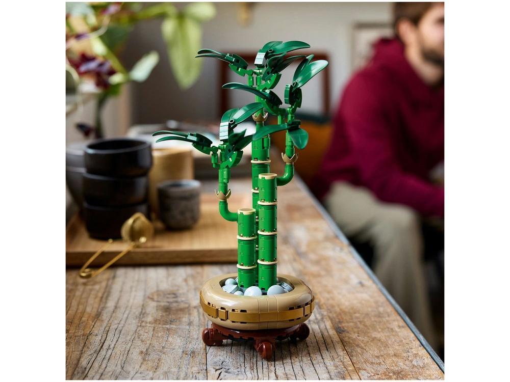 LEGO Bambu da Sorte 10344  - 4