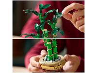 LEGO Bambu da Sorte 10344  - 3