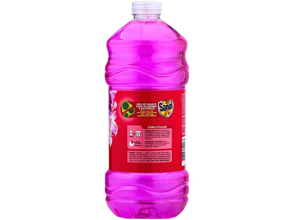 Desinfetante Líquido Sanol 2001 Concentrado Floral 2L - 5