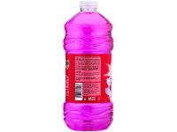 Desinfetante Líquido Sanol 2001 Concentrado Floral 2L