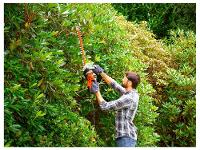 Aparador de Grama Elétrico Black+Decker 400W