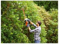 Aparador de Grama Elétrico Black+Decker 400W