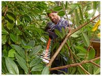 Aparador de Grama Elétrico Black+Decker 400W - 6