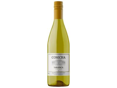 Vinho Branco Seco Tarapacá Chardonnay Cosecha Chile 750ml