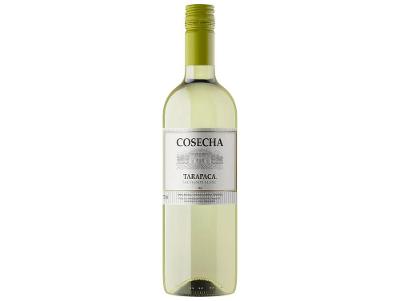 Vinho Branco Seco Tarapacá Sauvignon Blanc 2024 Cosecha Chile 750ml