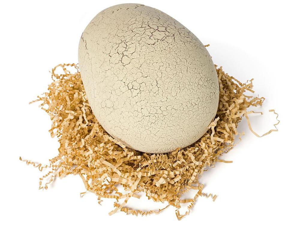 Dinossauro T-Rex Primal Emite Som e Luz - 2