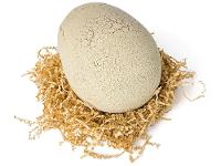 Dinossauro T-Rex Primal Emite Som e Luz - 2