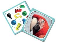 Jogo Cortex Challenge 2 Galápagos 97 Peças