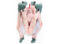 Berço Portátil e Desmontável Maxi Baby Lune até 15kg Rosa - 7