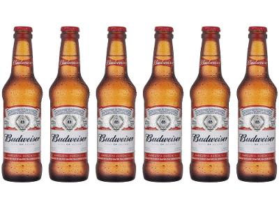 Cerveja Budweiser American Lager 330ml Long Neck 6 Unidades