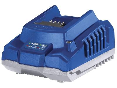 CARREG. DE BATERIAS 20V 