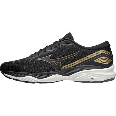Tênis de Corrida Mizuno Wave Falcon 5
