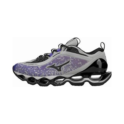 Tênis Mizuno Wave Prophecy 13.2 Gradation