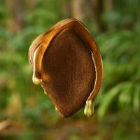 Ekos Frescor Andiroba 150 ml - 4