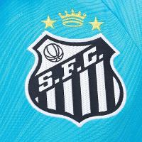 Camisa Santos 25/26 s/n Torcedor Edição Especial Umbro Feminina - 3